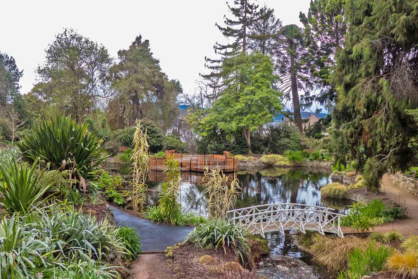 Royal Tasmanian Botanical Gardens