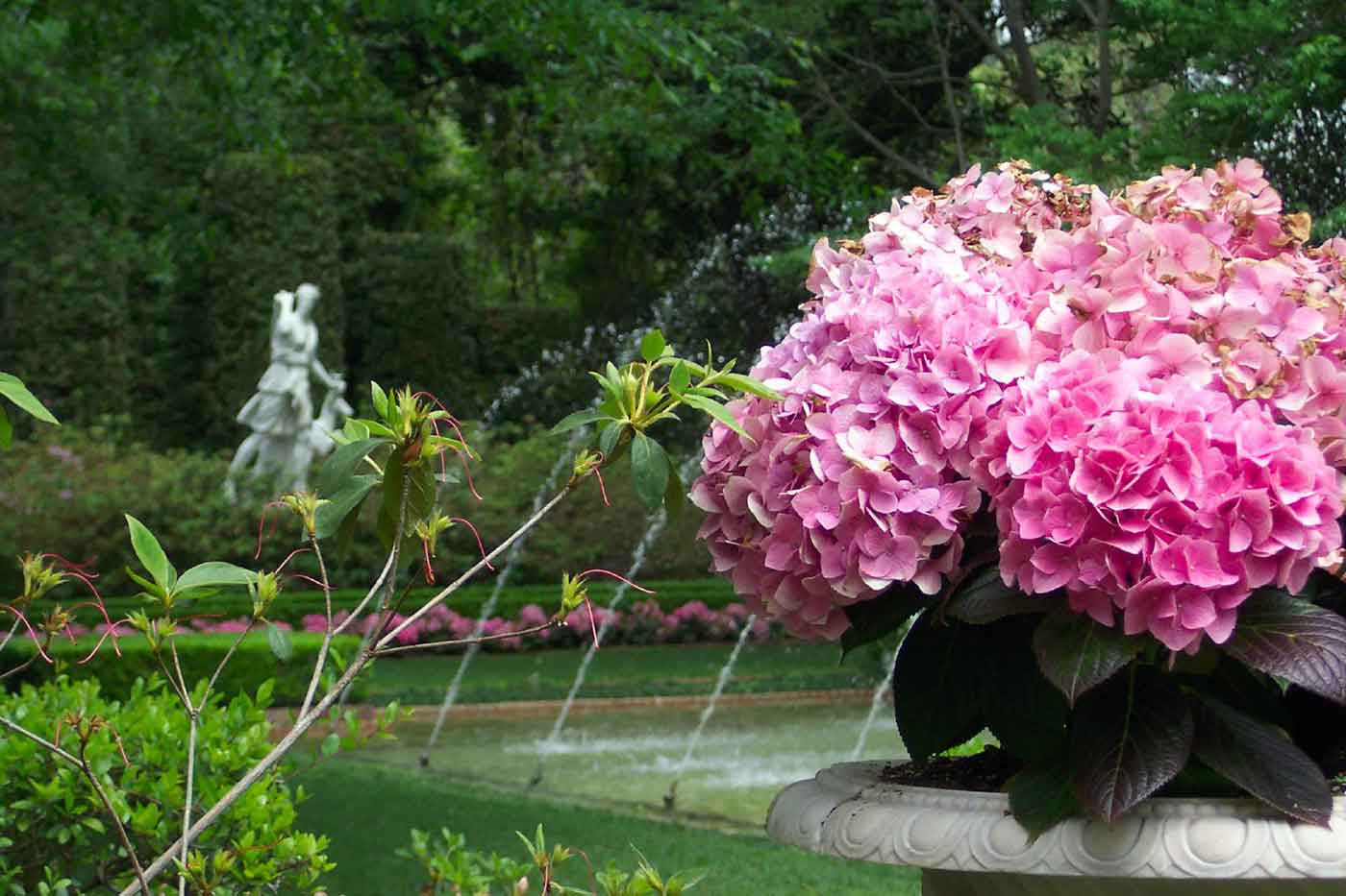 Bayou Bend Collection and Gardens