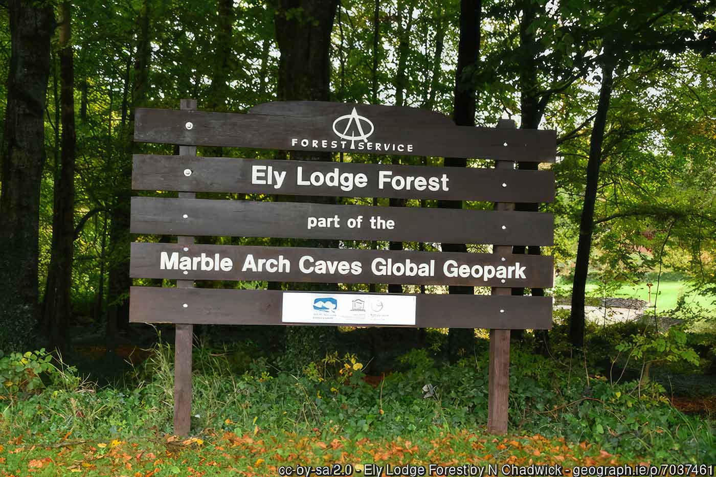 Ely Lodge Forest
