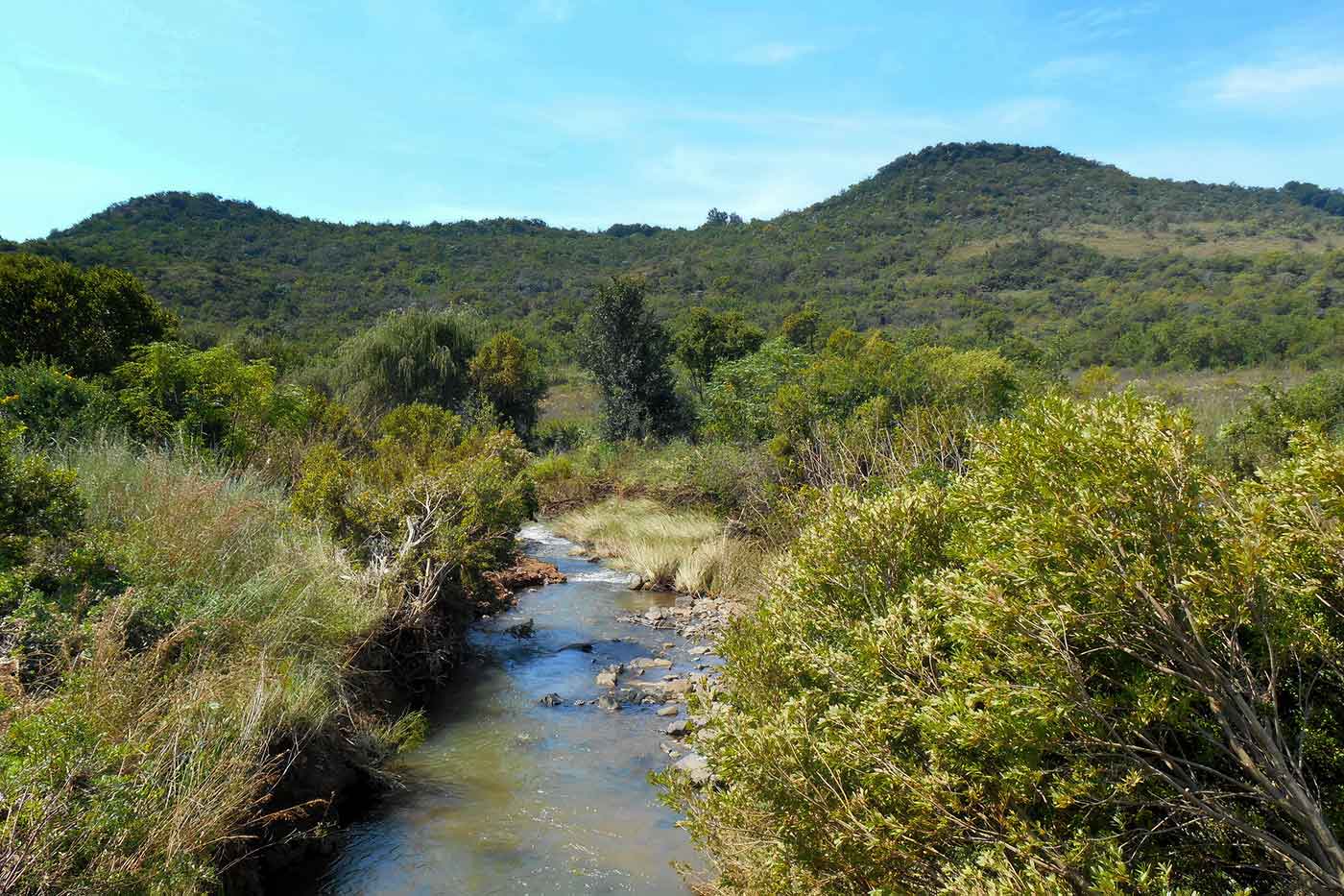 Faerie Glen Nature Reserve