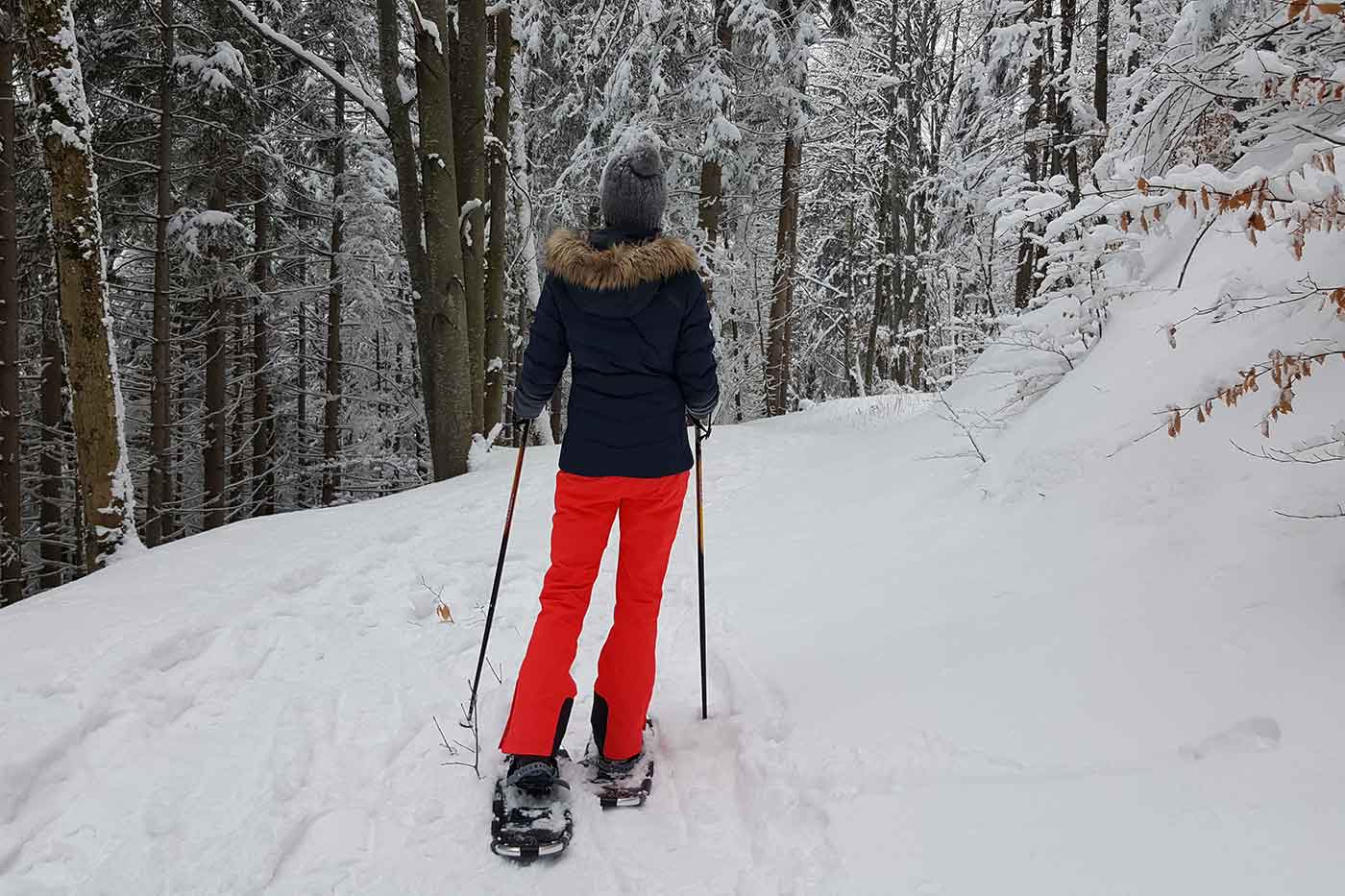 Snowshoe Hiking