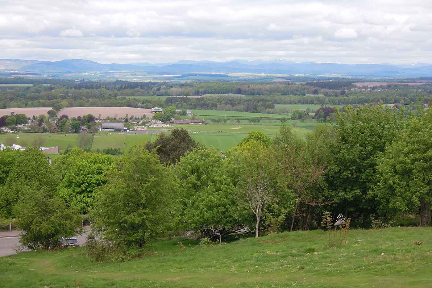 Kinnoull Hill Woodland Park