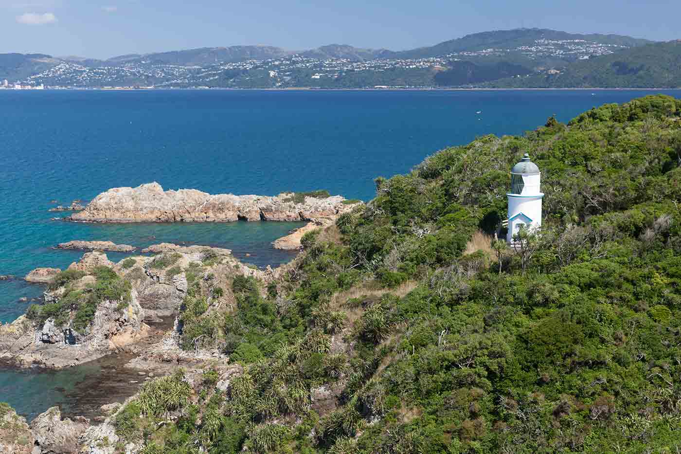 Matiu / Somes Island