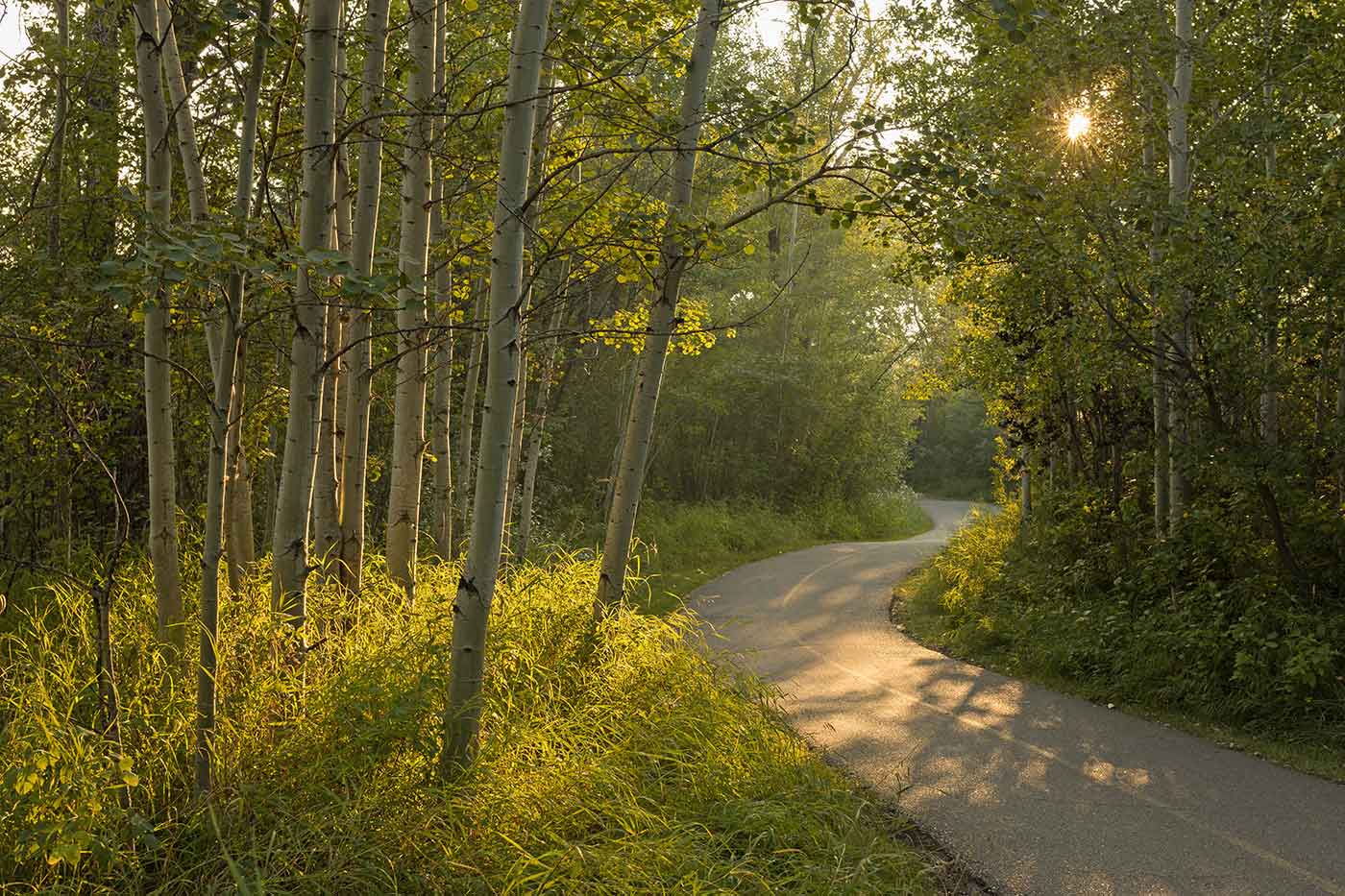 Fish Creek Provincial Park