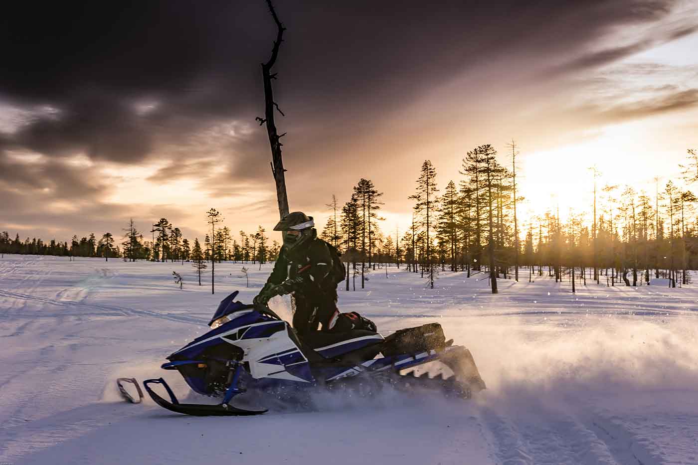 Snowmobile Trip