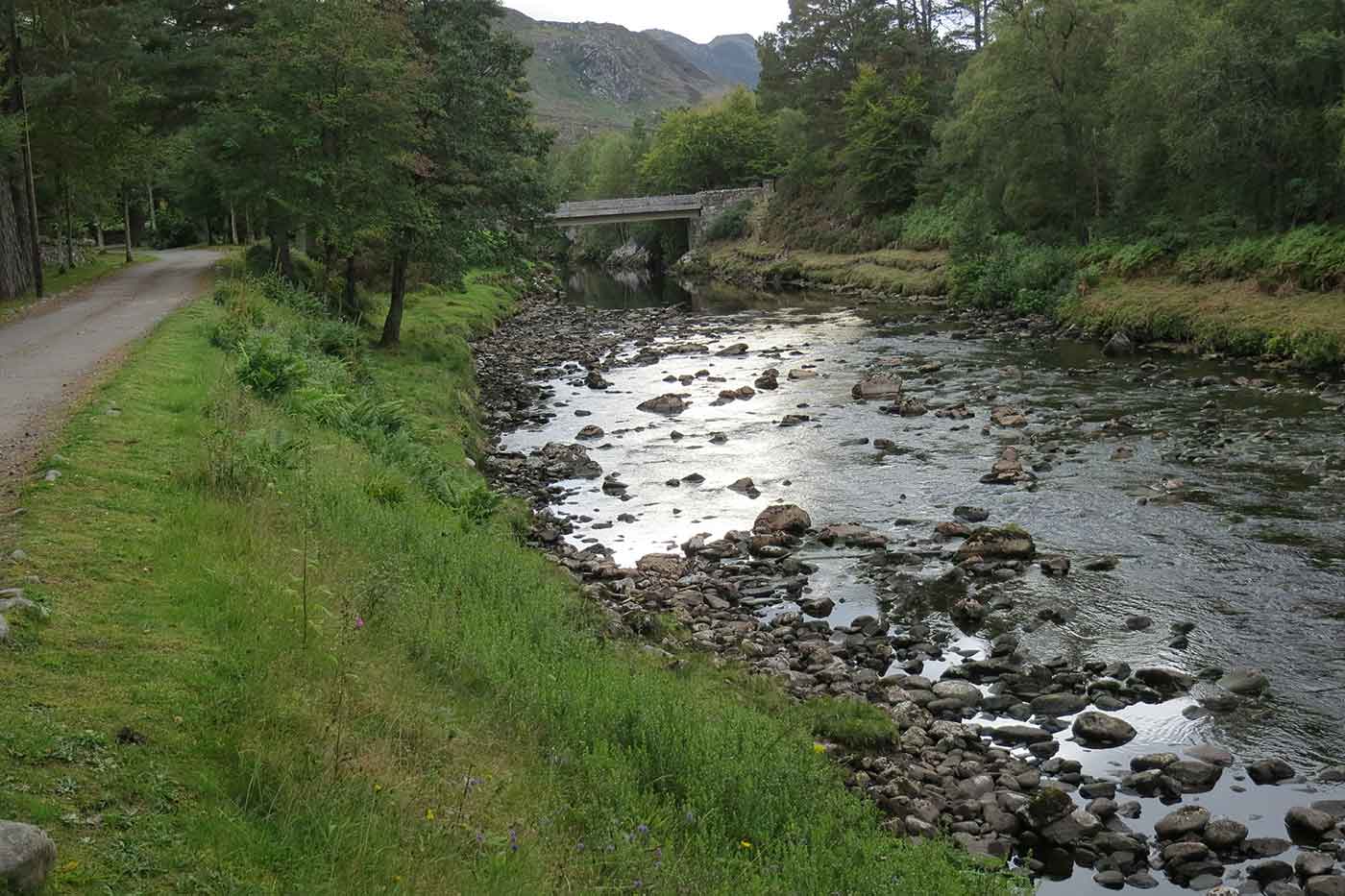 Carron Glen Wildlife Reserve