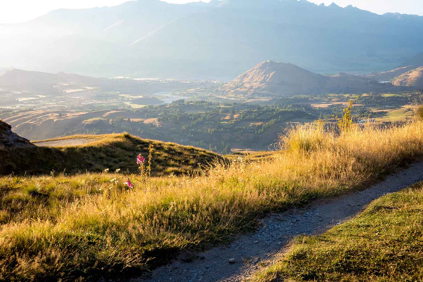 Queenstown Trail