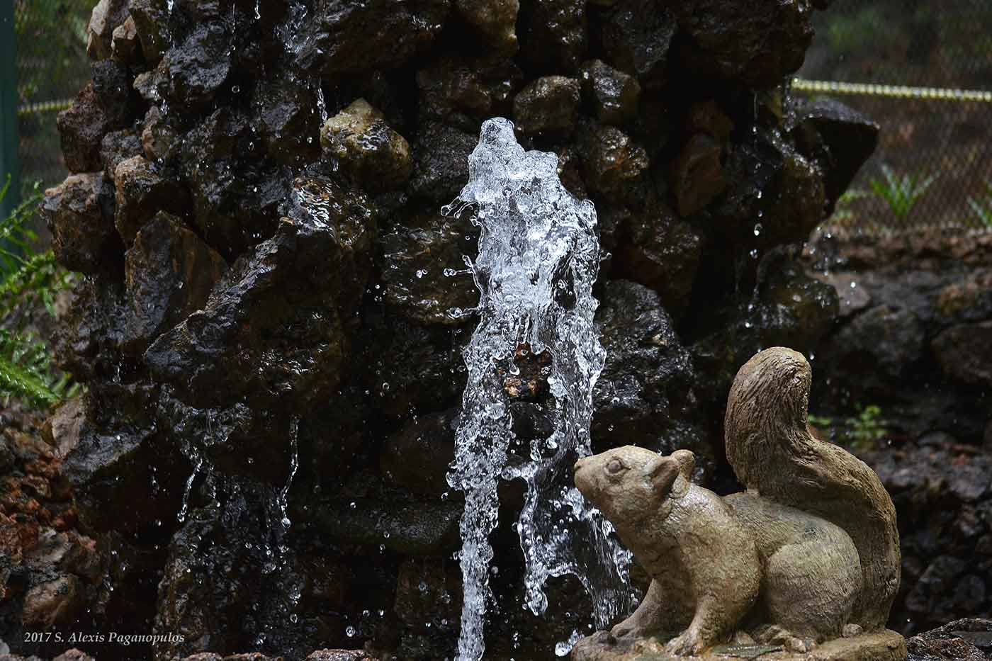 Parque Ecologico Chipinque