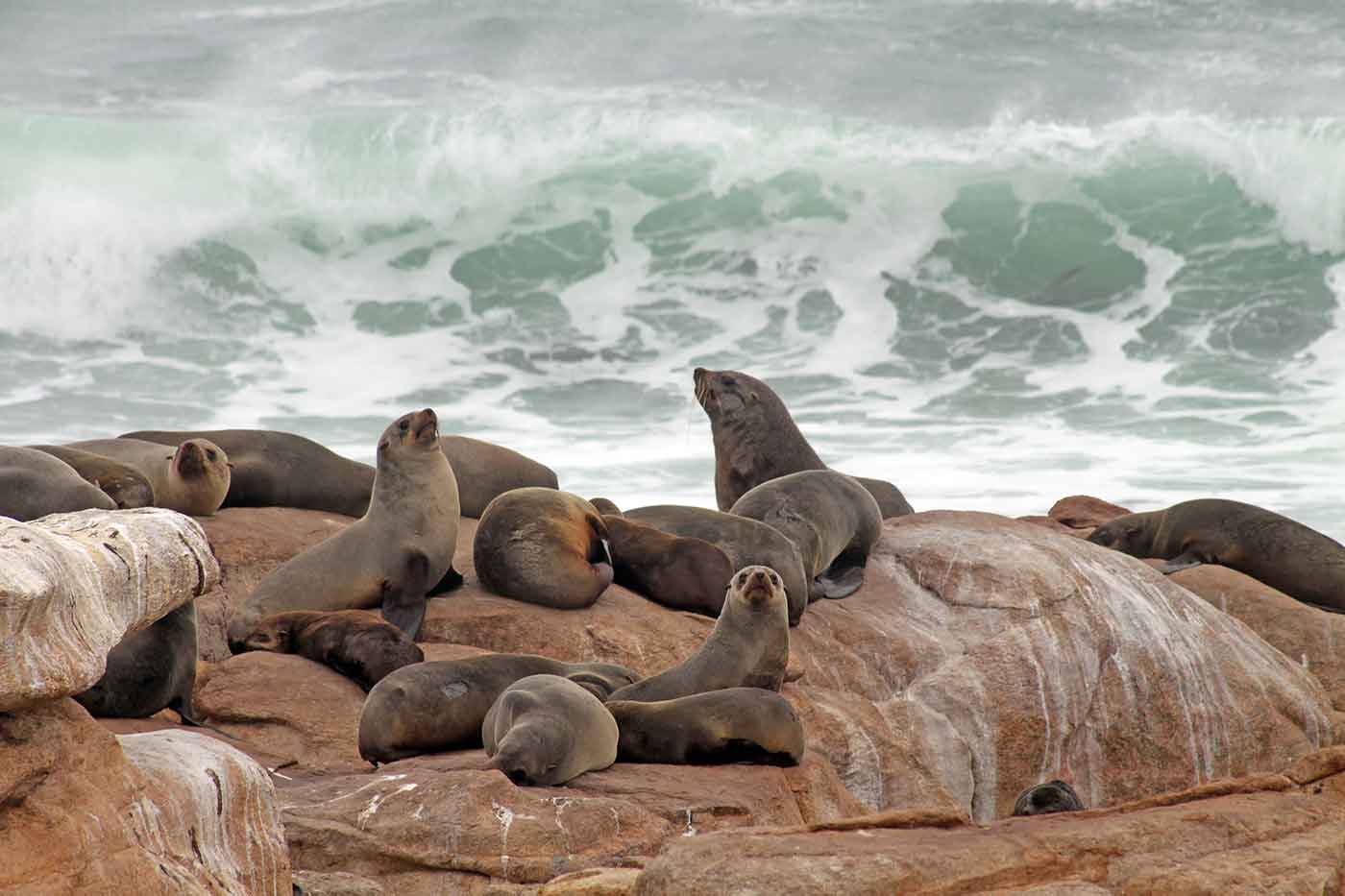 Namaqua National Park